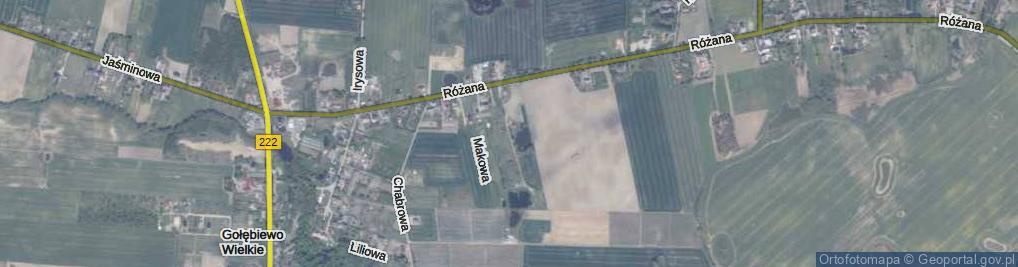 Zdjęcie satelitarne Kaktusowa ul.